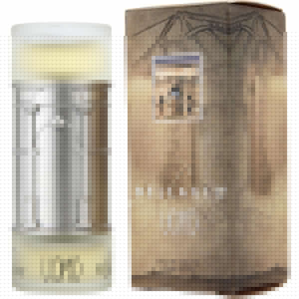 Micaelangelo Bellagio Uomo Men EDT 100 ML מיכאלאנגלו בלאגיו אומו לגבר 100 מל אדט