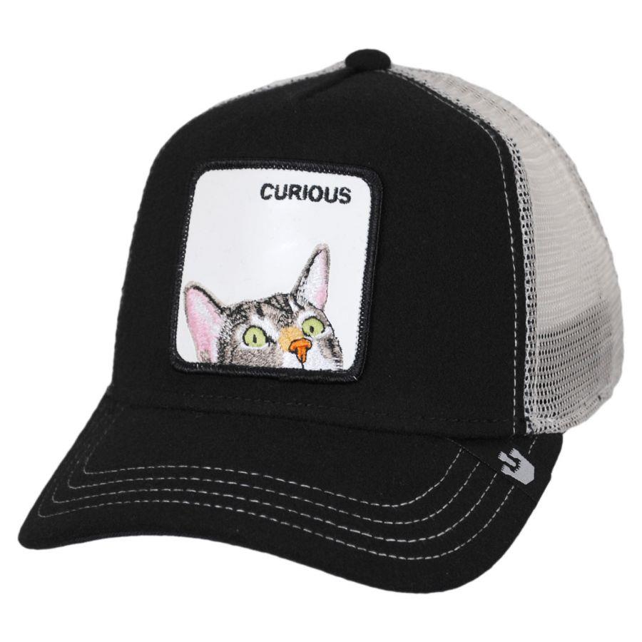 כובע מצחייה גורין חתול סקרן